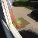 IMG_1044.gif