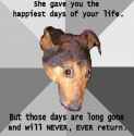she_gave_you_the_happiest_days_of_your_life.49f29ay06vwggswgsos00oo0k.6ylu316ao144c8c4woosog48w.th.jpg