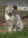 Spice in the Easter sun.jpg