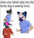 87txd352fvlz.jpg