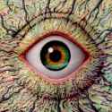 inner_eye__12323.1407413100.650.650.jpg