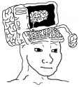 1498026385399.jpg