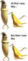 7BA9754782otj367F4A1Dibx4D6.png