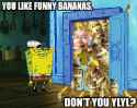 7D493B92C75936371269qbjEAAess75936A9288B.png