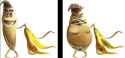 7pfn3A2D846211BA721F122CD678.png