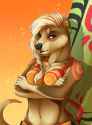 191_1430253364.compass_otter.png