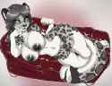 1503004330.niis_sexy_leopard.jpg