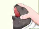 aid6618-v4-900px-Give-a-Cat-Medicine-Step-11.jpg