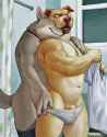fffffolder doggos wet clothes.jpg