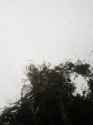 Resized_20170122_134829001.jpg