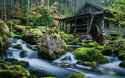 popular-landscaping-captivating-landscape-cascading-waterfall-landscape-waterfall-winter-landscape-with-waterfalls-landscape-wall-waterfalls-landscape-with-waterfall-jacob-van-ruisdael-waterfall.jpg