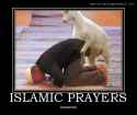 4108deb03aad97e65fa22b9db0568171--marines-funny-islamic-prayer.jpg