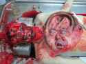 gore1.jpg