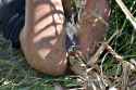 rape-woman-dead-sugar-cane-force-snatch-brazil-06.jpg