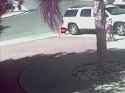 IMG_3032.gif