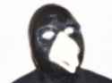 caw caw.jpg