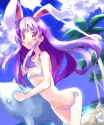 animal_ears bikini bunny_ears female swimsuit touhou xexu-c48f1d1c8634e17e7db58a34e99d302f.png