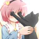 Sky_satori_cat_cute_funny_help.jpg