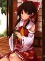 1girl ascot bow brown_eyes brown_hair cup dappled_sunlight detached_sleeves green_tea hair_bow hair_tubes long_hair looking_at_viewer payot porch remiria100 sitting smile solo touhou-f78c401a3622c130c7bf0c1ea0.jpg