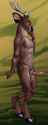 1499997942_dbruin_sunkawakandeer.png