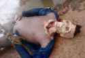 Rapist-dies-a-horrible-death-Imgur-300x205.jpg