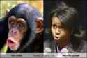 chimp.jpg