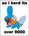 Mudkip1_9000.jpg