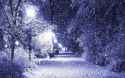 Winters Night Hd Desktop Wallpaper.jpg