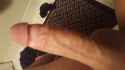 IMG-20170926-WA0012.jpg