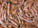 475689d6b4caf660ba858684b3f55ad0--gross-food-weird-food.jpg