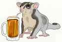 sugarglider.jpg