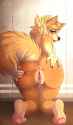 196d8cc61cc3a36cc6dd6835083a994d--sexy-furry-dog-pictures.jpg