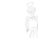 r.png