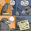 DKsJ2ArXcAA3-9Z.jpg