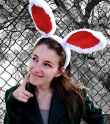 bunny.png