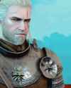 08718de4893026e6bfe69239db242cd9--the-witcher--wild-hunt.jpg