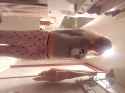 20170927_185829.jpg