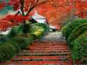 garden_staircase_kyoto_japan.jpg