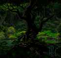 tree_rain.gif