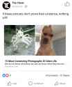 20171015_035013.png