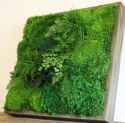 14x14-All-Moss-and-Fern-1-889x881.jpg