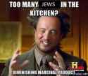 toomanyjews.jpg