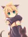 neko kitty.png