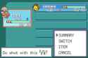 Pokemon - Fire Red-5.png