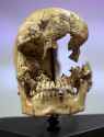 Skull of a 14 year-old girl believed to be a victim of cannibalism at the Jamestown colony in the winter of 1609.jpg