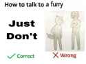 how to talk to a furfag .png
