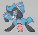 Riolu26.png