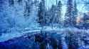 winter-pond-forest-trees_1485130371.jpg