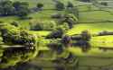 English-fields.jpg