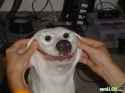 happy.jpg